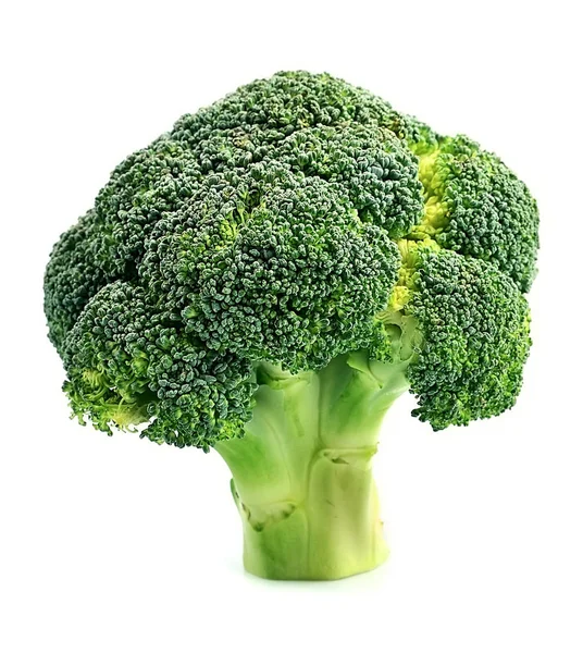 Fresh broccoli closeup. — Stock Photo, Image