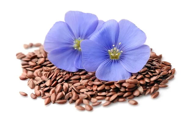 Flax seed closeup. — Stock Photo, Image