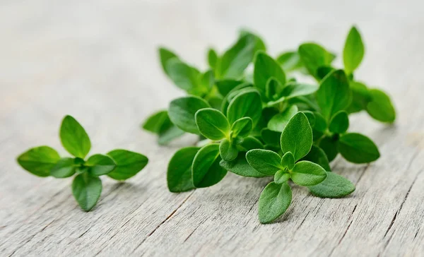 Thyme fresh herb. — Stock Photo, Image