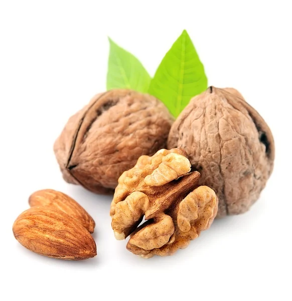 Nueces y almendras . —  Fotos de Stock