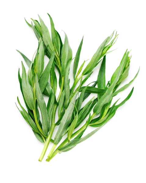 Tarragon herbs closeup. — Stock Photo, Image