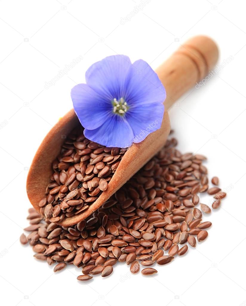 Flax seed and flax flowers .