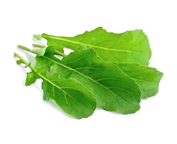 Insalata di rucola isolata  . — Foto Stock