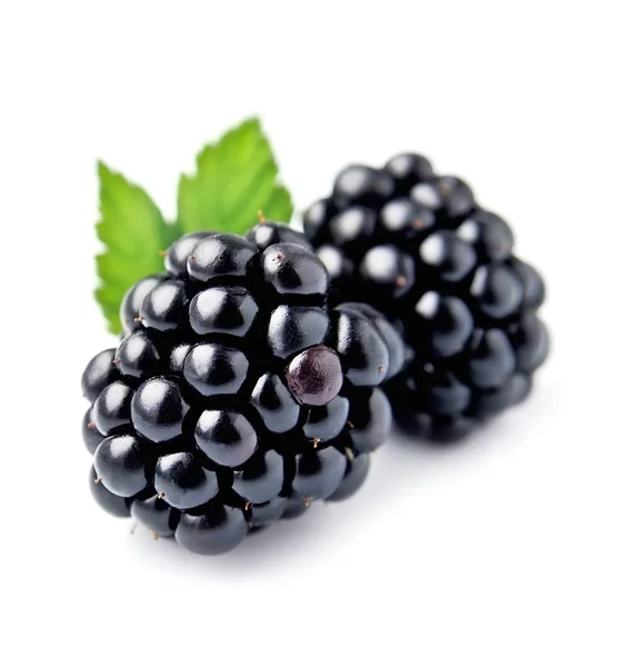 Sweet blackberries closeup . — Stock Photo, Image