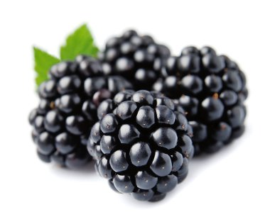 Tatlı böğürtlen portre.