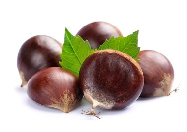 Kestane closeup beyaz.