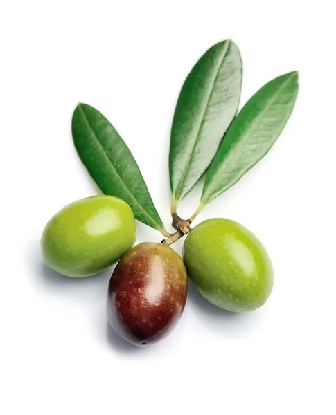 Оливки з листям — стокове фото