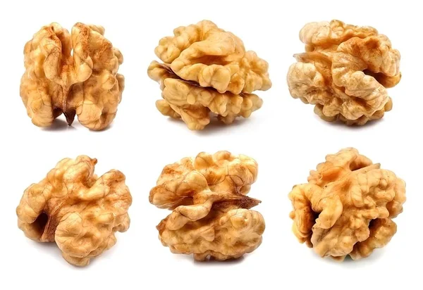 Walnut kernel closeup. — Stock Photo, Image