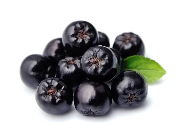 Chokeberry preto de perto . — Fotografia de Stock