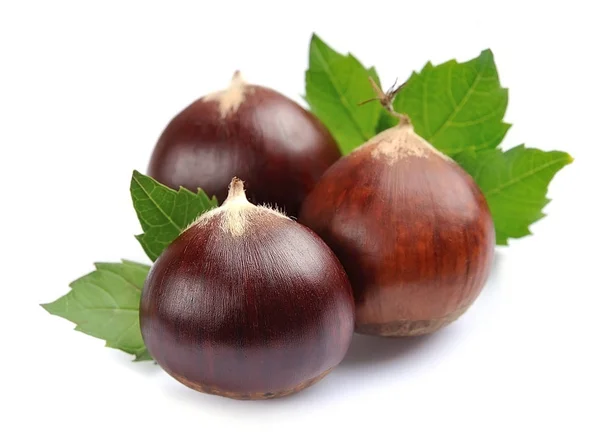 Chestnuts close up. — Stock Photo, Image