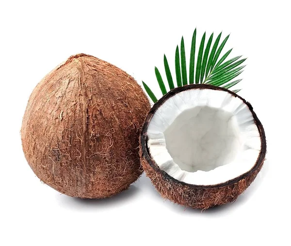 Kokosnötter med blad. — Stockfoto