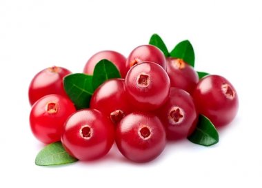 Tatlı kızılcık portre.