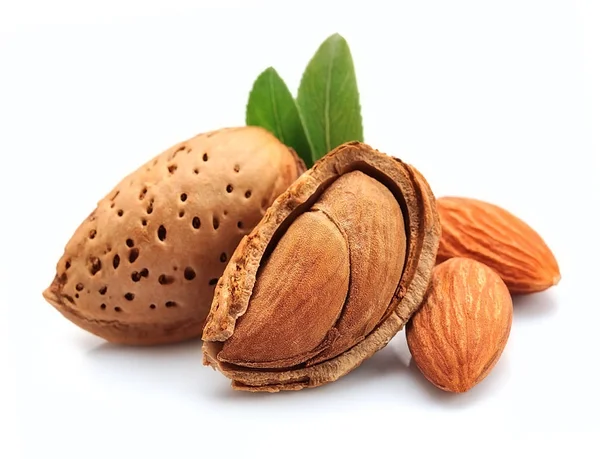 Mandle, ořechy, samostatný . — Stock fotografie