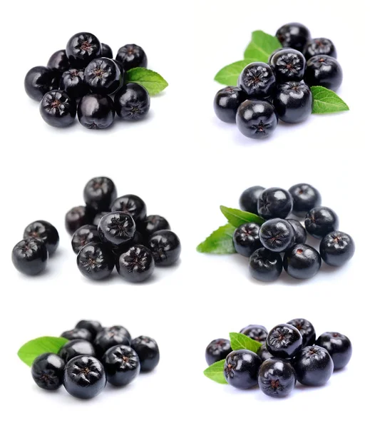 Collage of black chokeberry. — Stock Photo, Image