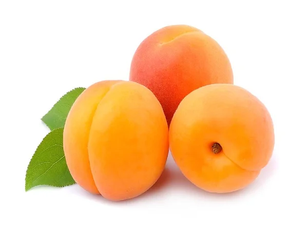 Солодкий абрикоси . — стокове фото