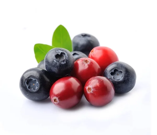 Süße Blaubeeren und Preiselbeeren. — Stockfoto