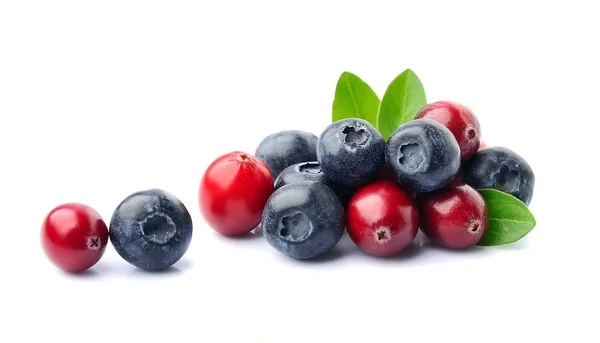 Blaubeeren und Preiselbeeren. — Stockfoto