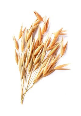 Beyaz arka planda yulaf.