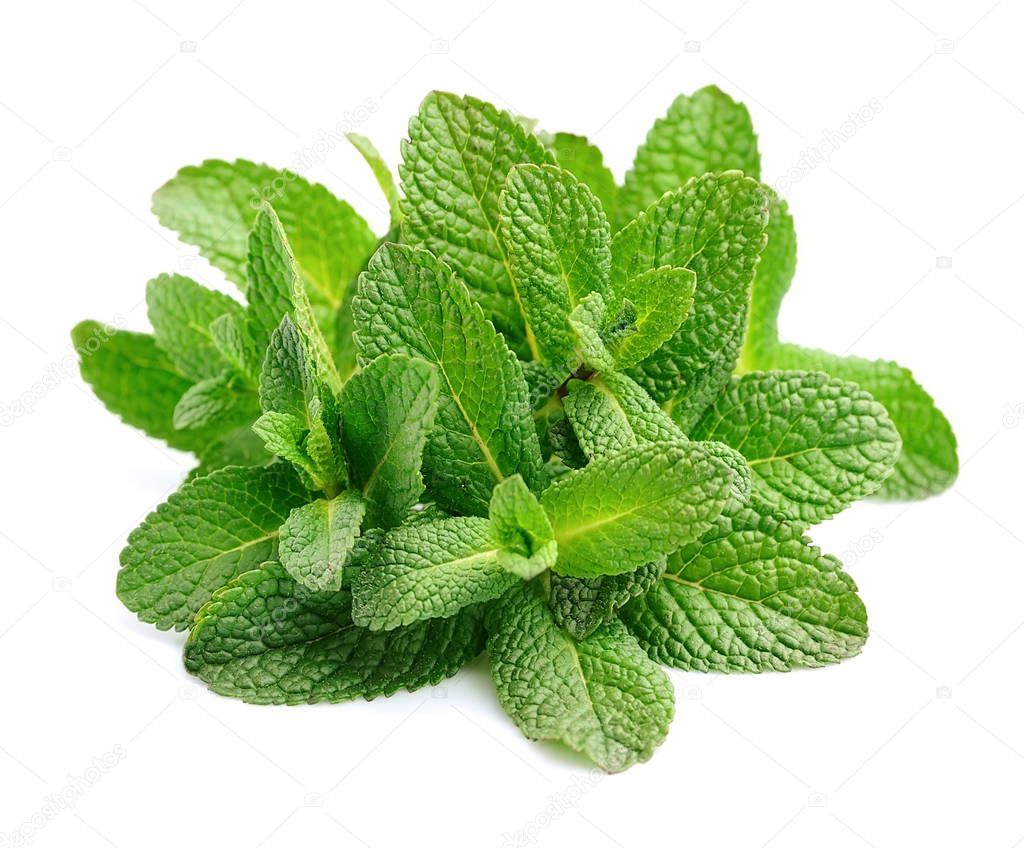 Mint leafs on white backgrounds.