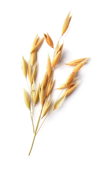 Closeup de cereais de aveia . — Fotografia de Stock