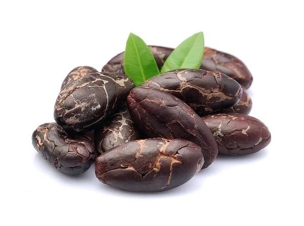 Cacao beans closeup. — Stock Photo, Image