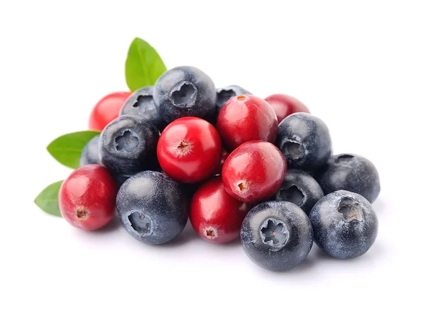 Sweet berry of cranberries and blueberries . — Stock Photo, Image