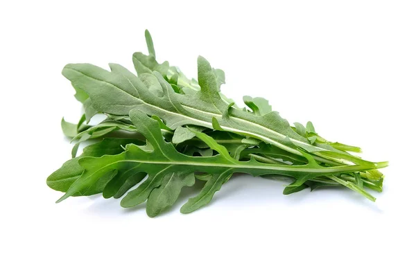 Salada Arugula. Folhas de rucola  . — Fotografia de Stock