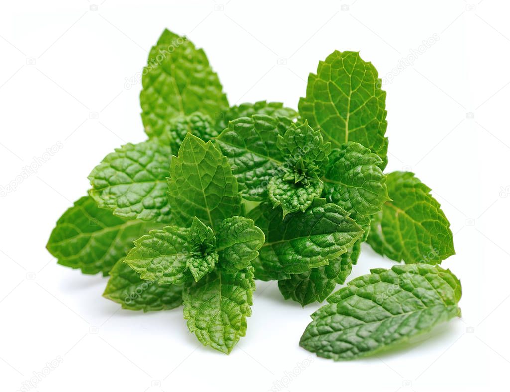 Mint leaf closeup on a white background