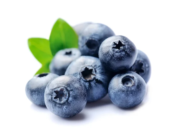 Blueberries Leaves Isolated White Backgrounds — Stock Photo, Image