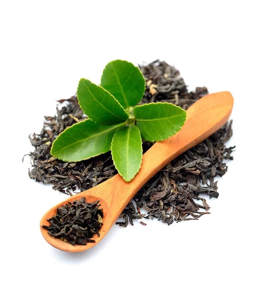 Teeblätter Und Getrockneter Tee Auf Weißem Hintergrund — Stockfoto
