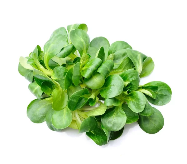 Insalata Foglie Valeriana Insalata Mais Isolata Fondi Bianchi Insalata Lattuga — Foto Stock