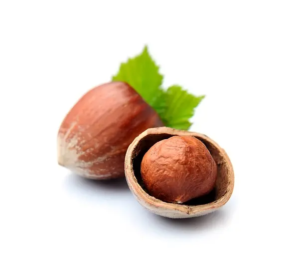 Lískové Ořechy Izolované Bílém Pozadí — Stock fotografie