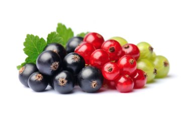 Beyaz arka planda tatlı dut. Kırmızı frenk üzümü, siyah frenk üzümü ve bektaşi üzümü..