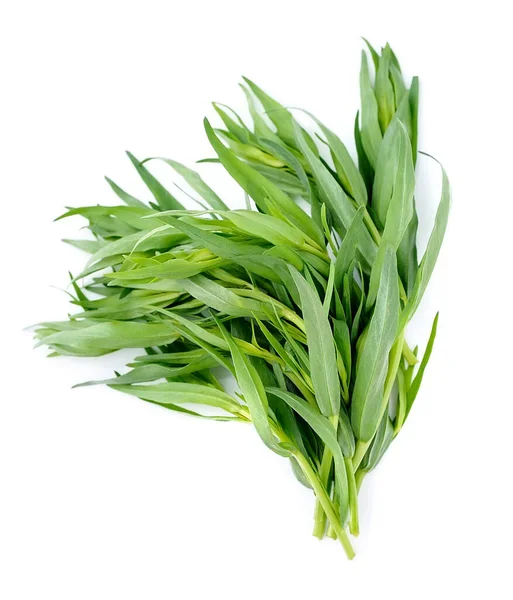 Tarragon Spezie Primo Piano Sfondo Bianco — Foto Stock