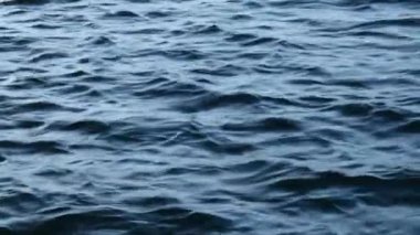 Deniz suyu yüzeyindeki dalgalar