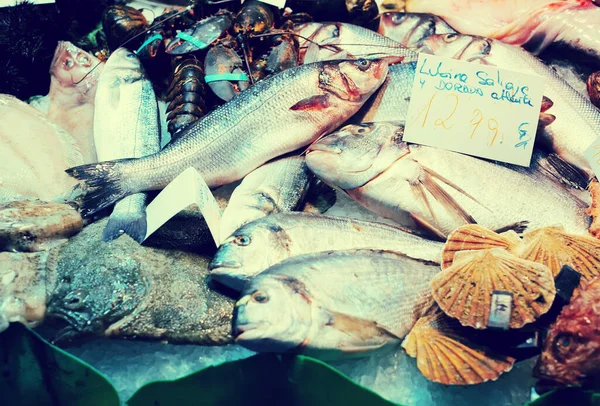 ปลาสดและอาหารทะเลอ บนเคาน เตอร ตลาดสเปน — ภาพถ่ายสต็อก