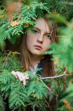 Portre Mazı dalları tarafından çerçeveli