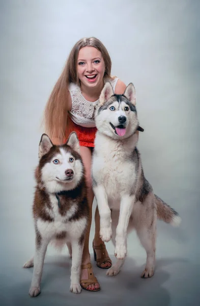 Meisje Met Twee Honden Siberische Husky — Stockfoto