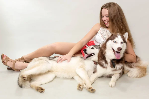 Κορίτσι Δύο Σκυλιά Σιβηρίας Husky — Φωτογραφία Αρχείου
