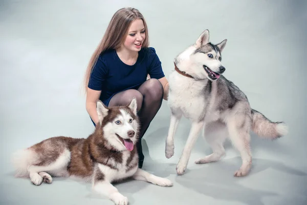 Lány Két Kutyával Szibériai Husky Stock Kép