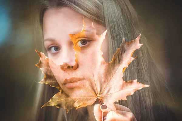 Doppelbelichtung Herbst — Stockfoto