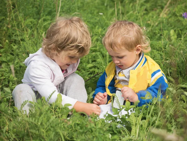 Small Children Play Grass — Stockfoto