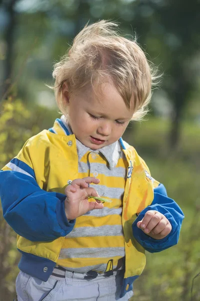 Het Jongetje Onderzoekt Een Sprinkhaan — Stockfoto