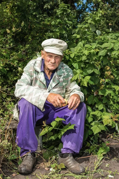 Anciano Hombre Sienta Thrickets —  Fotos de Stock