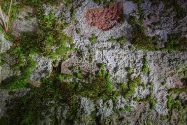 Kırmızı tuğladan yapılmış eski çatlak tuğla ve kısmen yeşil yosun ve bitki örtüsüyle kaplı.