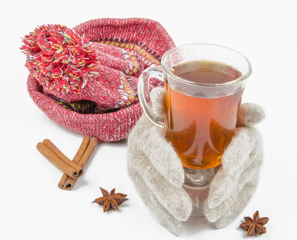Çay ile eldiven — Stok fotoğraf