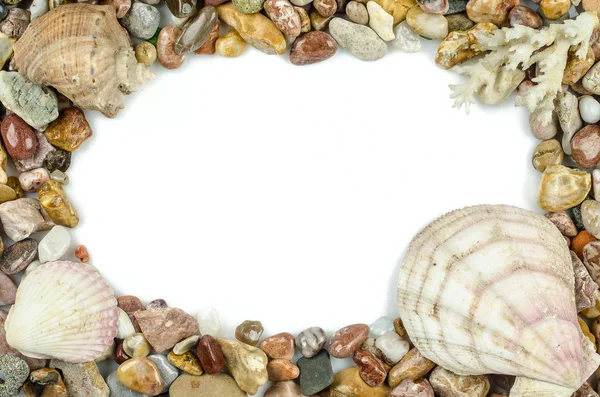 Seashells and pebbles — Stock Photo, Image