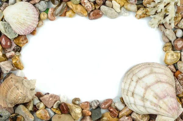 Seashells and pebbles — Stock Photo, Image