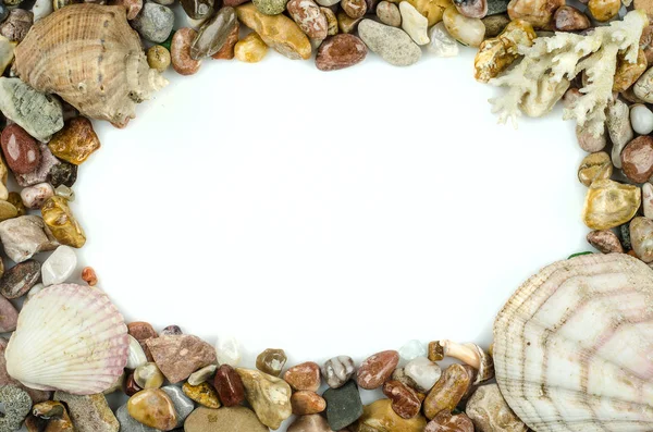 Seashells and pebbles — Stock Photo, Image
