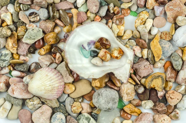 貝殻や小石 — ストック写真